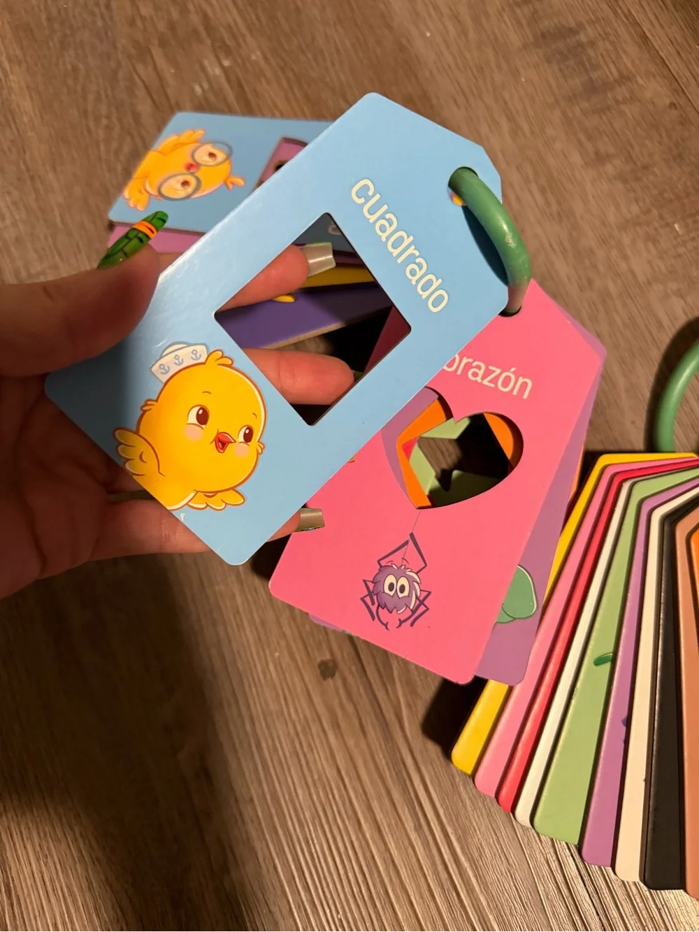 Kids Color & Shape Learning Cards - Multi-Color- like new